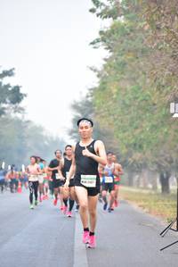 BIB: 
                            <button type="button" onclick="openModal(10129955)" class="btn btn-primary btn-sm float-right btn-popup" data-toggle="modal" data-target=".modal-high-quality">
                        <i class="fas fa-shopping-cart"></i> Add to Cart
                    </button>
                                            <button type="button" onclick="isThisMe(10129955, true)" class="btn btn-success btn-sm float-right btn-popup btn-isme hidden" data-toggle="tooltip" data-placement="bottom" title="นี่คือรูปของคุณใช่ไหม คลิกที่นี่เพื่อเอาเข้าอัลบั้ม">
                        <i class="fas fa-plus"></i> Add to album
                    </button>
                    <button type="button" onclick="isThisMe(10129955, false)" class="btn btn-warning btn-sm float-right btn-popup btn-isnotme hidden">
                        <i class="fas fa-ban"></i> Remove from album
                    </button>